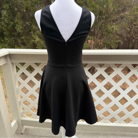 Mystic LA Romantic Roses Black Embroidered Skater Dress Small Plunge Neck Goth - Picture 4 of 11